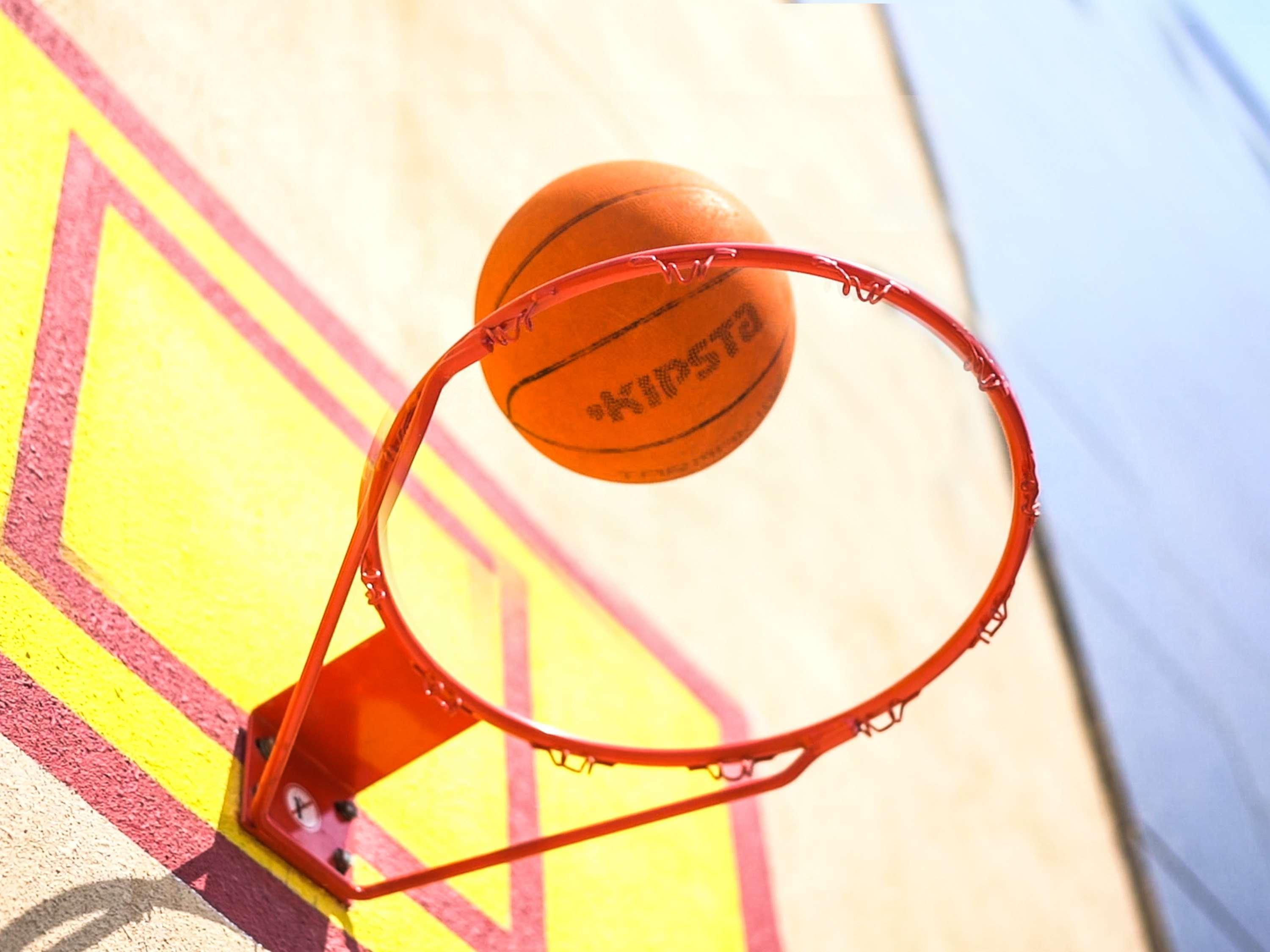 Novotel Chennai Sipcot المظهر الخارجي الصورة A basketball entering a hoop