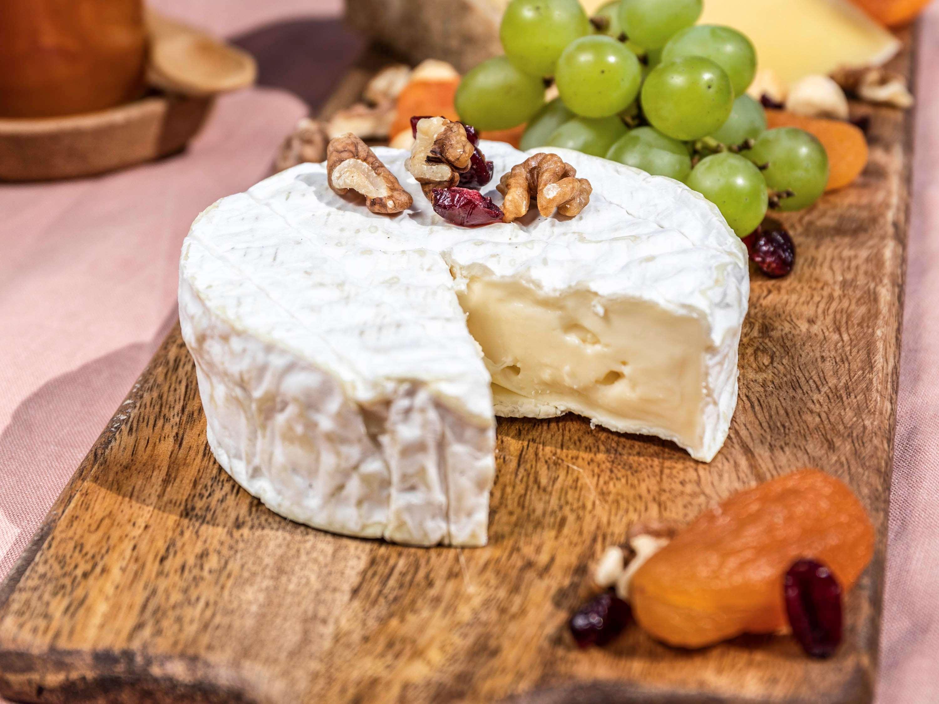 Novotel Chennai Sipcot المظهر الخارجي الصورة Camembert cheese