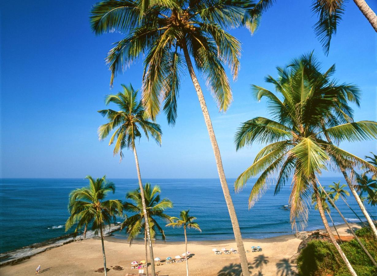 Novotel Chennai Sipcot المظهر الخارجي الصورة Beach in Calangute