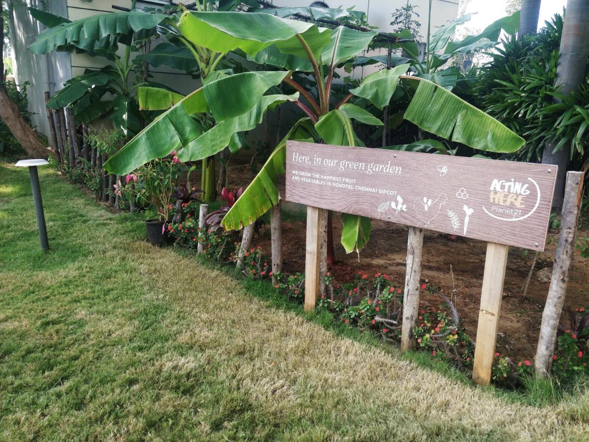 Novotel Chennai Sipcot المظهر الخارجي الصورة The Edible Garden at the National Gallery Singapore
